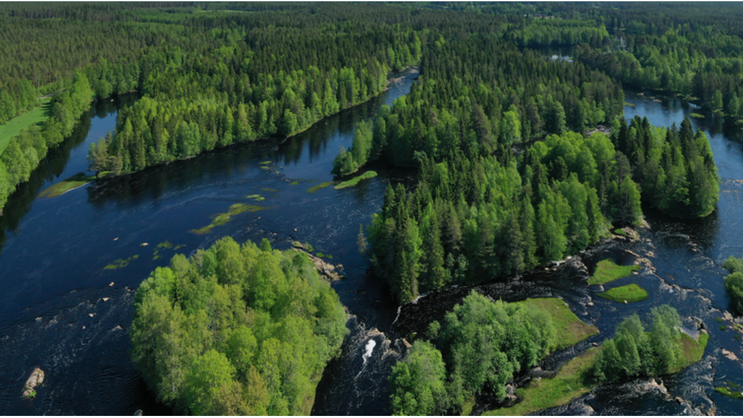 ympäristön tilan kuvituskuva